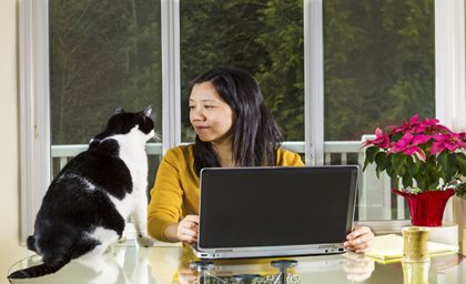 A woman in a yellow sweater sits at a table with a laptop, gazing at a black and white cat. A potted plant is nearby, with a backdrop of large windows.