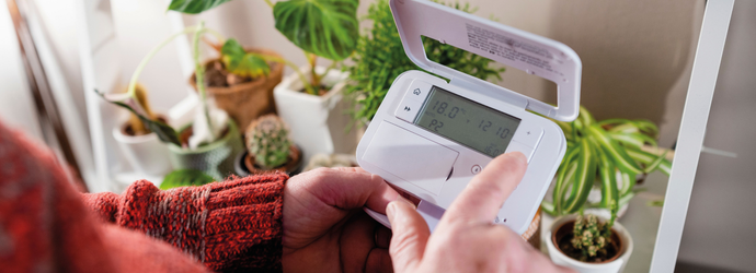 Person in a red sweater adjusting a home thermostat in front of a shelf with various potted plants. The atmosphere is calm and cozy.