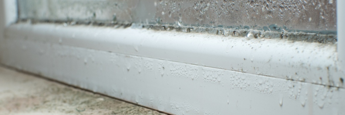 Window with condensation and mould growing on window sill