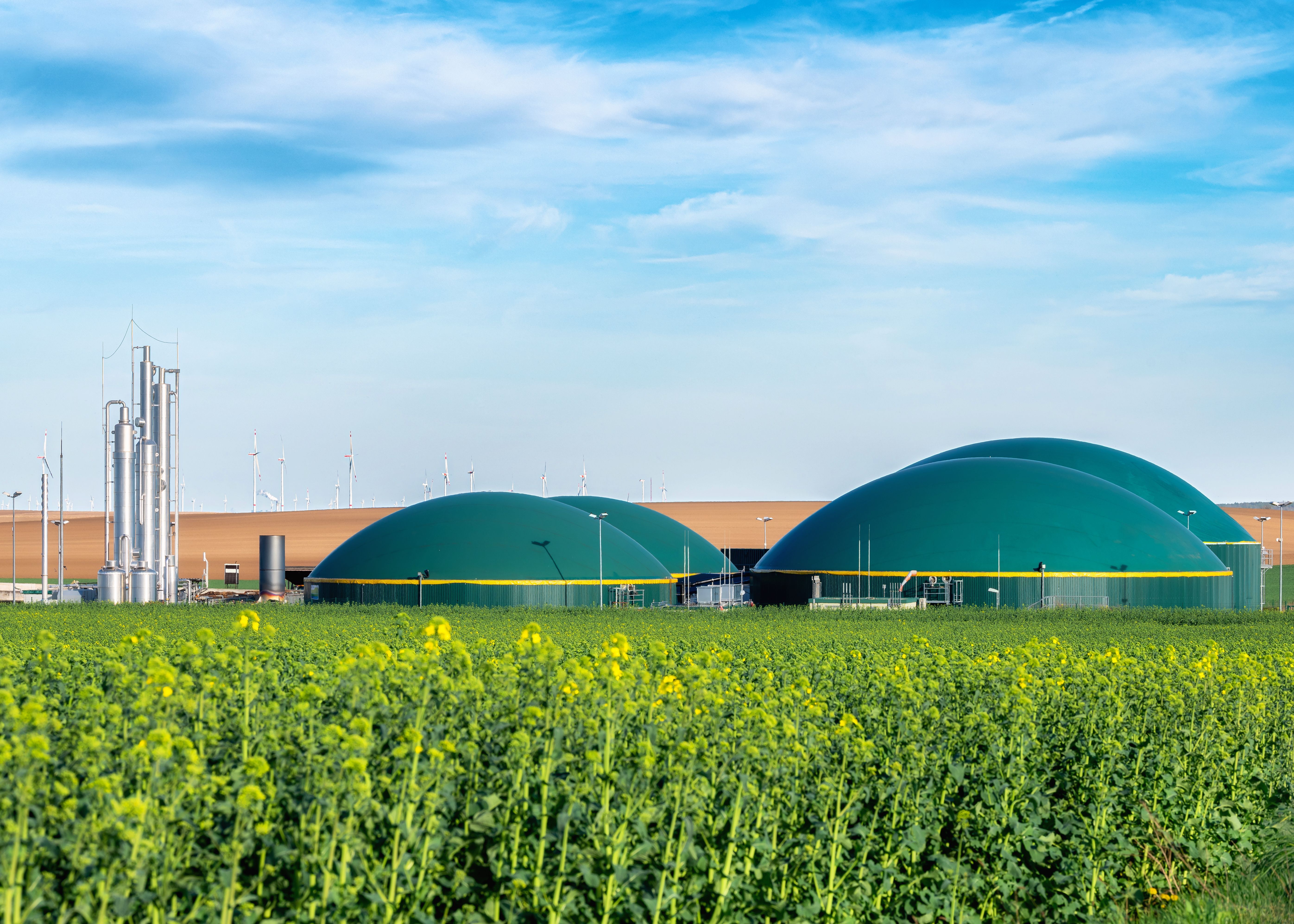 View over a rapeseed field to a biogas plant