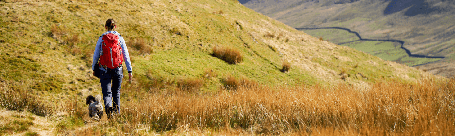 Landscape of a women with a red backpack walking a small dog on a grassy hillside, surrounded by greenery and mountains in the background