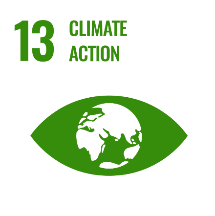 Green icon of an eye with the Earth as the iris. The number thirteen and 'climate action' is written above