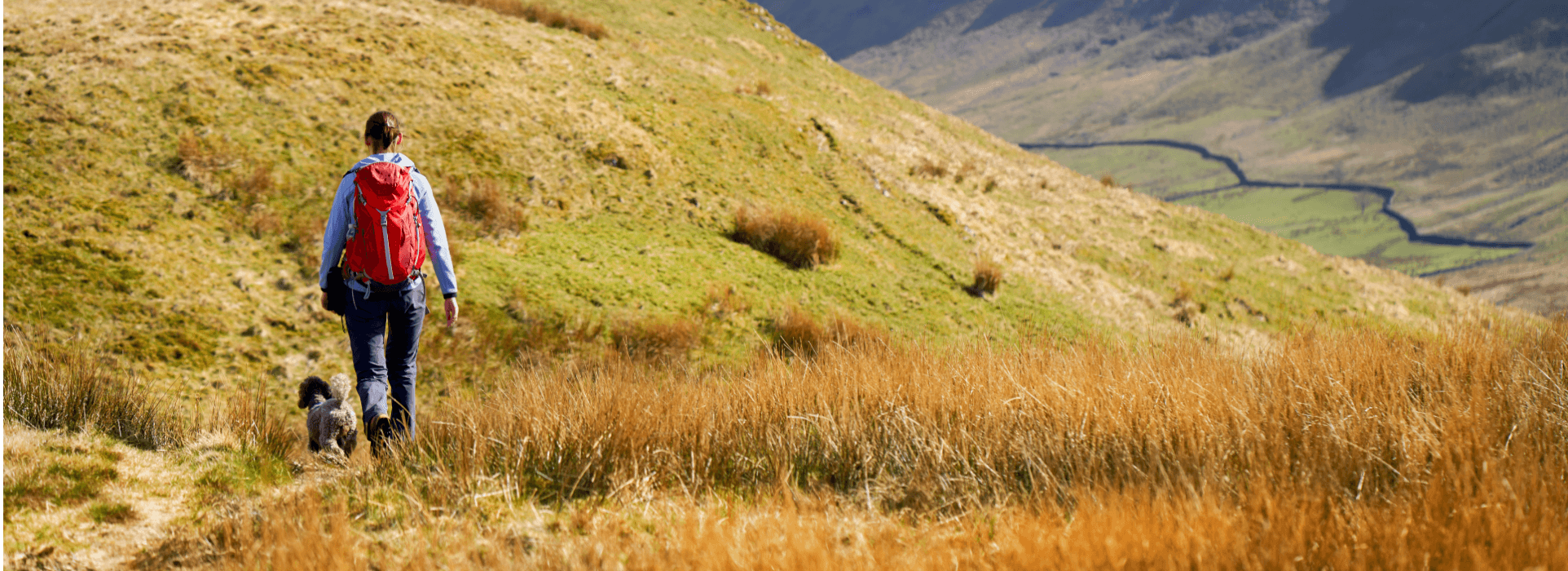 A woman with a red backpack walks a small dog along a grassy trail in a sunny hillside landscape.